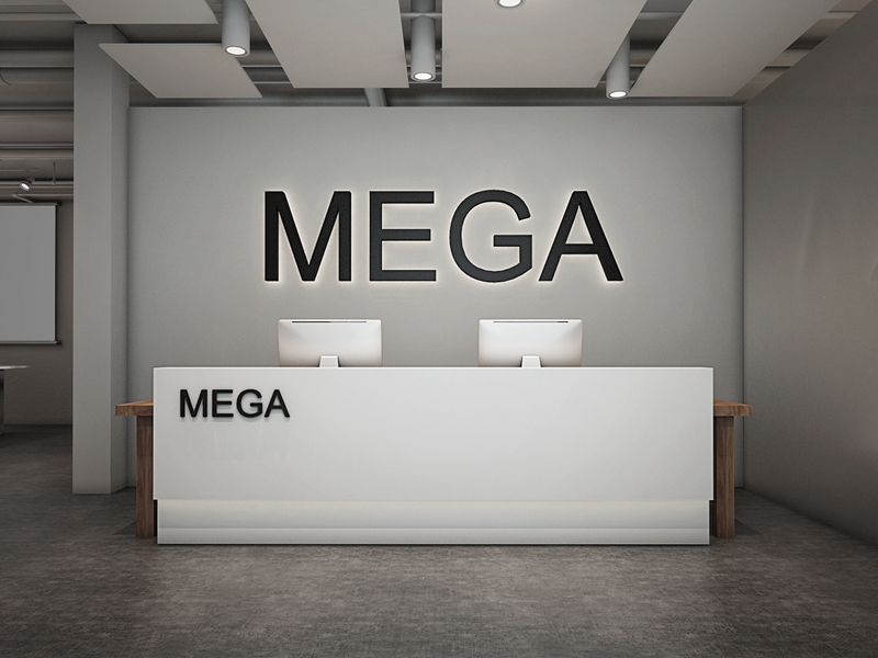 MEGA办公室装修设计案例